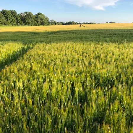 Birkemosegaard * Vedskolle
