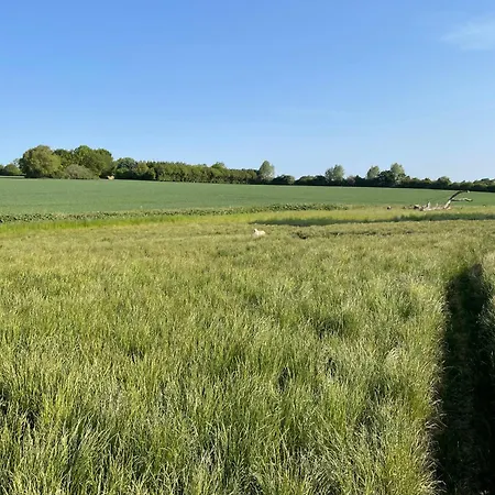 Casa de Férias Birkemosegaard