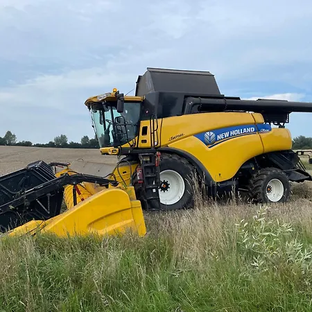 Birkemosegaard Vedskolle
