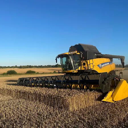Birkemosegaard Casa de Férias
