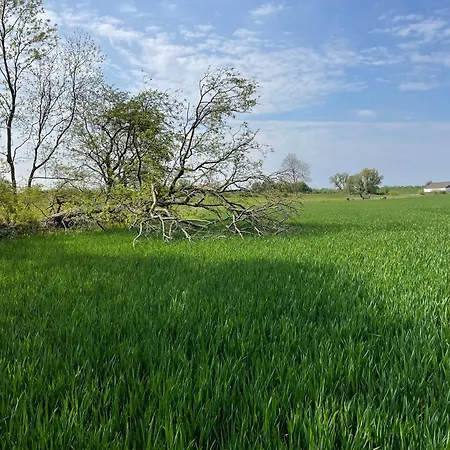 Birkemosegaard Vedskolle