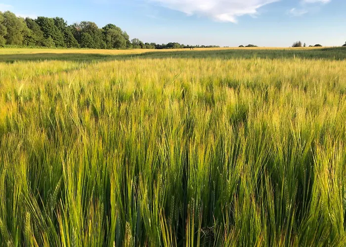 Сasa de vacaciones Birkemosegaard