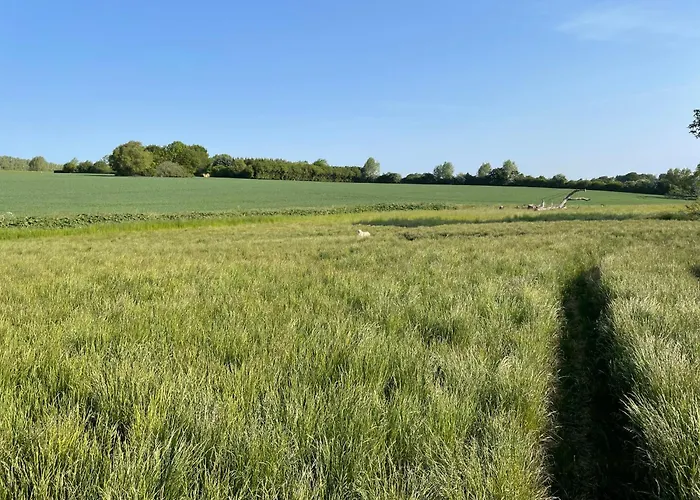 Сasa de vacaciones Birkemosegaard