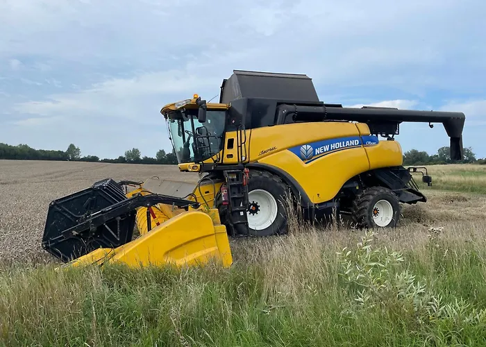 Birkemosegaard Vedskolle