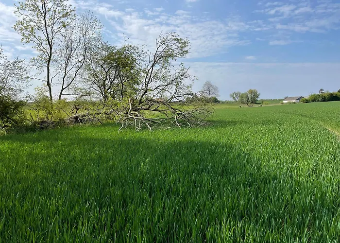 Birkemosegaard Vedskolle